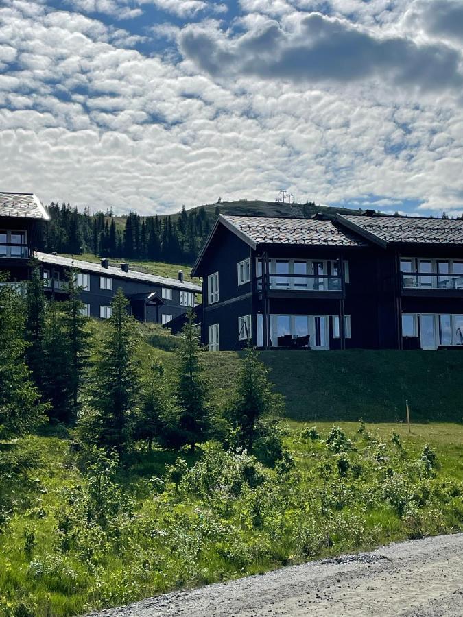 Bualie Golsfjellet Daire Dış mekan fotoğraf